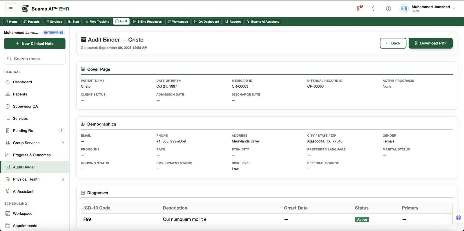 An audit binder assembled for one client in Buams AI: a generated cover page with record identifiers and program assignment, a demographics section, and a diagnoses table with ICD-10 codes and status, exportable as a PDF.